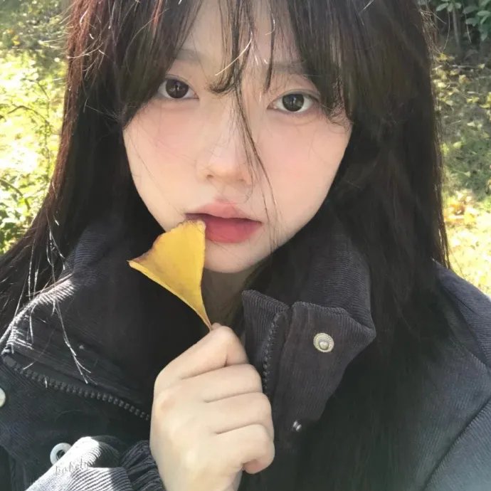 土豆侠第二季海报